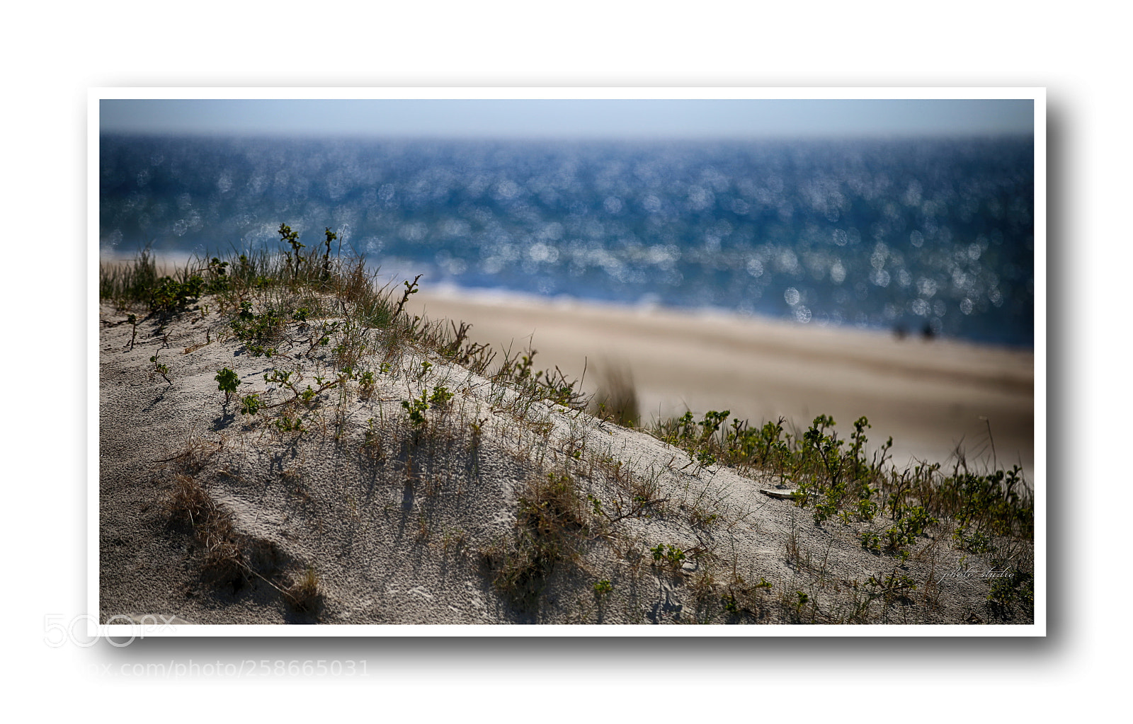 Canon EOS 6D sample photo. The coast photography