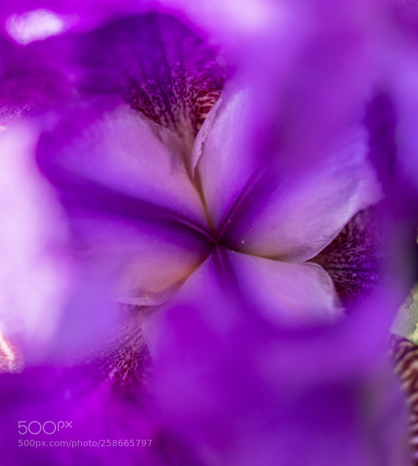 Sony a99 II sample photo. Dsc photography