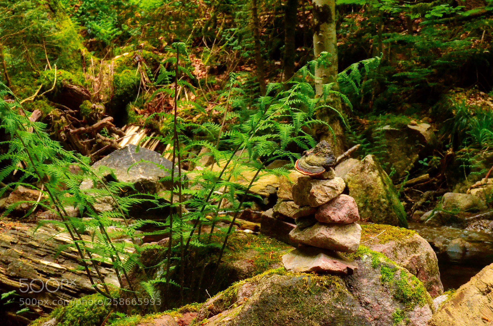 Nikon D5100 sample photo. Stacked these rocks for photography
