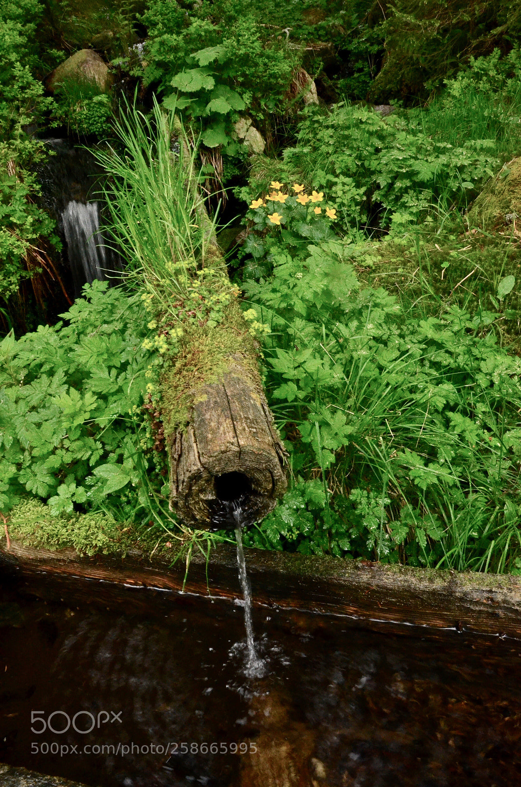Nikon D5100 sample photo. Hollow to guide a photography