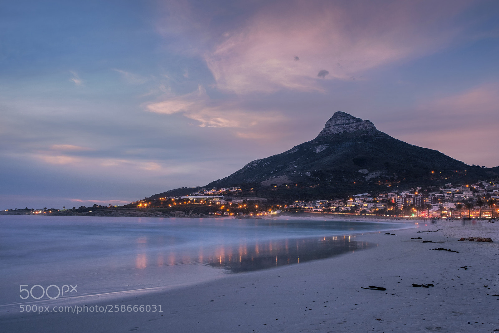 Fujifilm X-T2 sample photo. Lions head photography