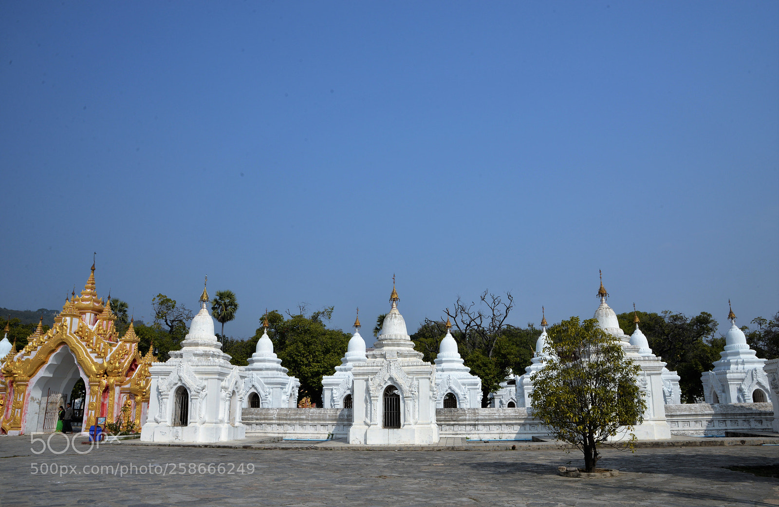 Nikon D610 sample photo. Paya kuthodaw/7367 photography