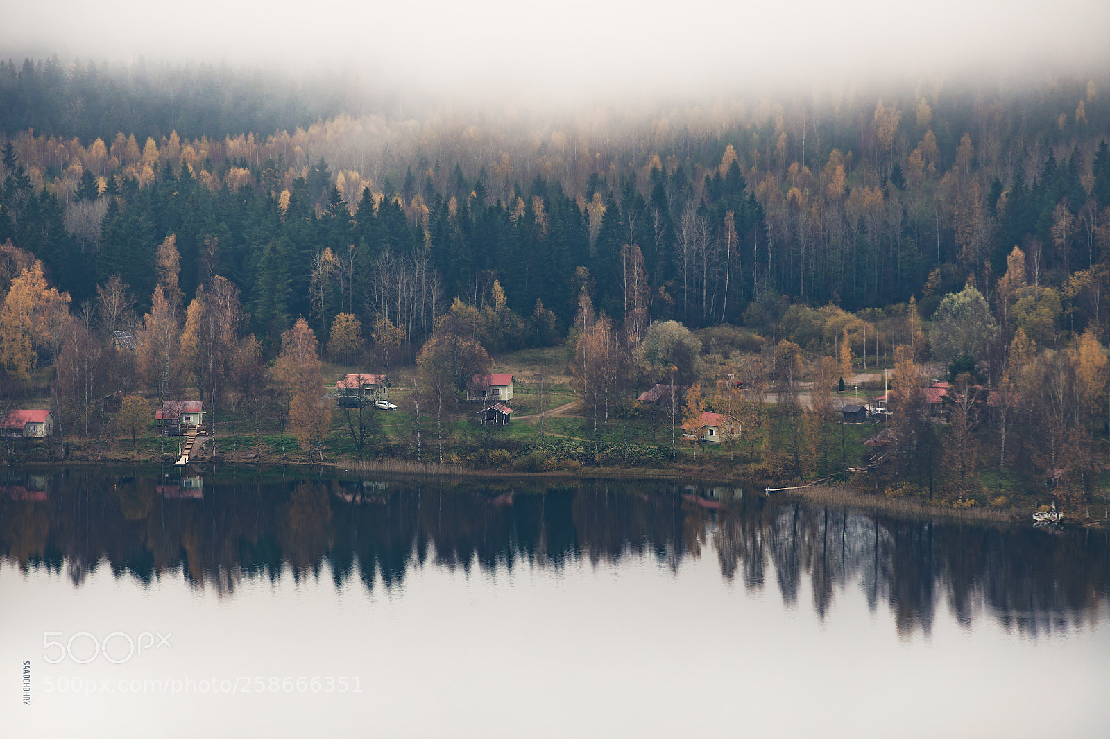 Canon EOS 6D sample photo. Autumn fog! photography