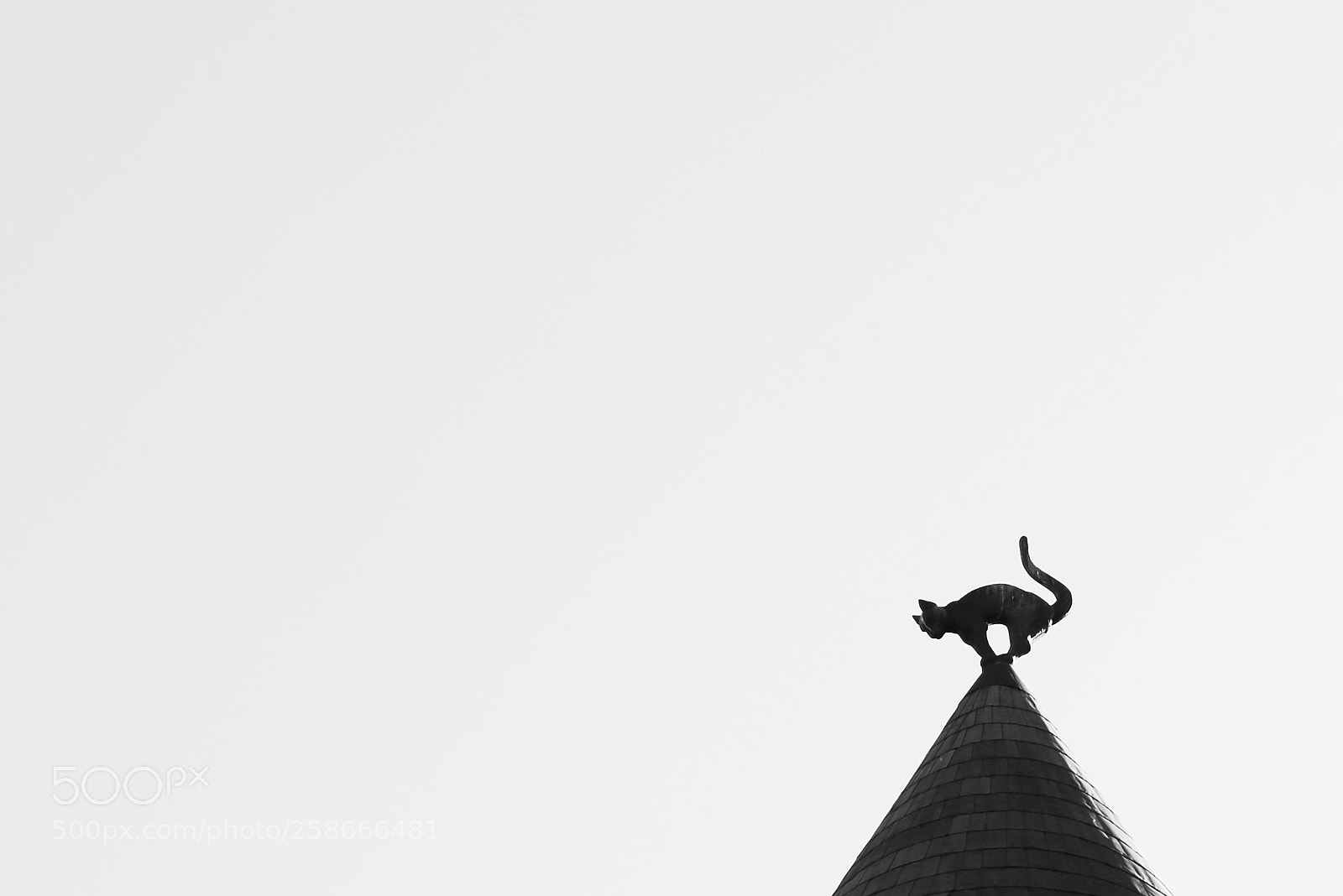 Canon EOS 6D sample photo. The cat houseis, riga photography