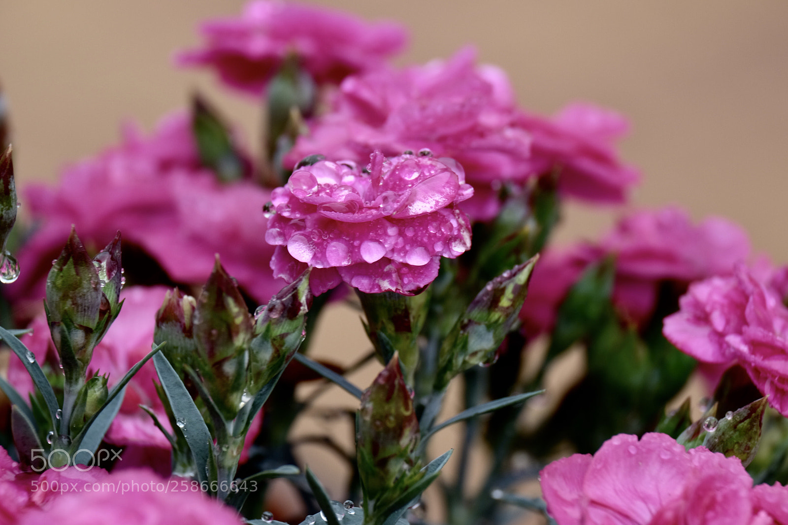 Fujifilm X-T1 sample photo. Untitled photography