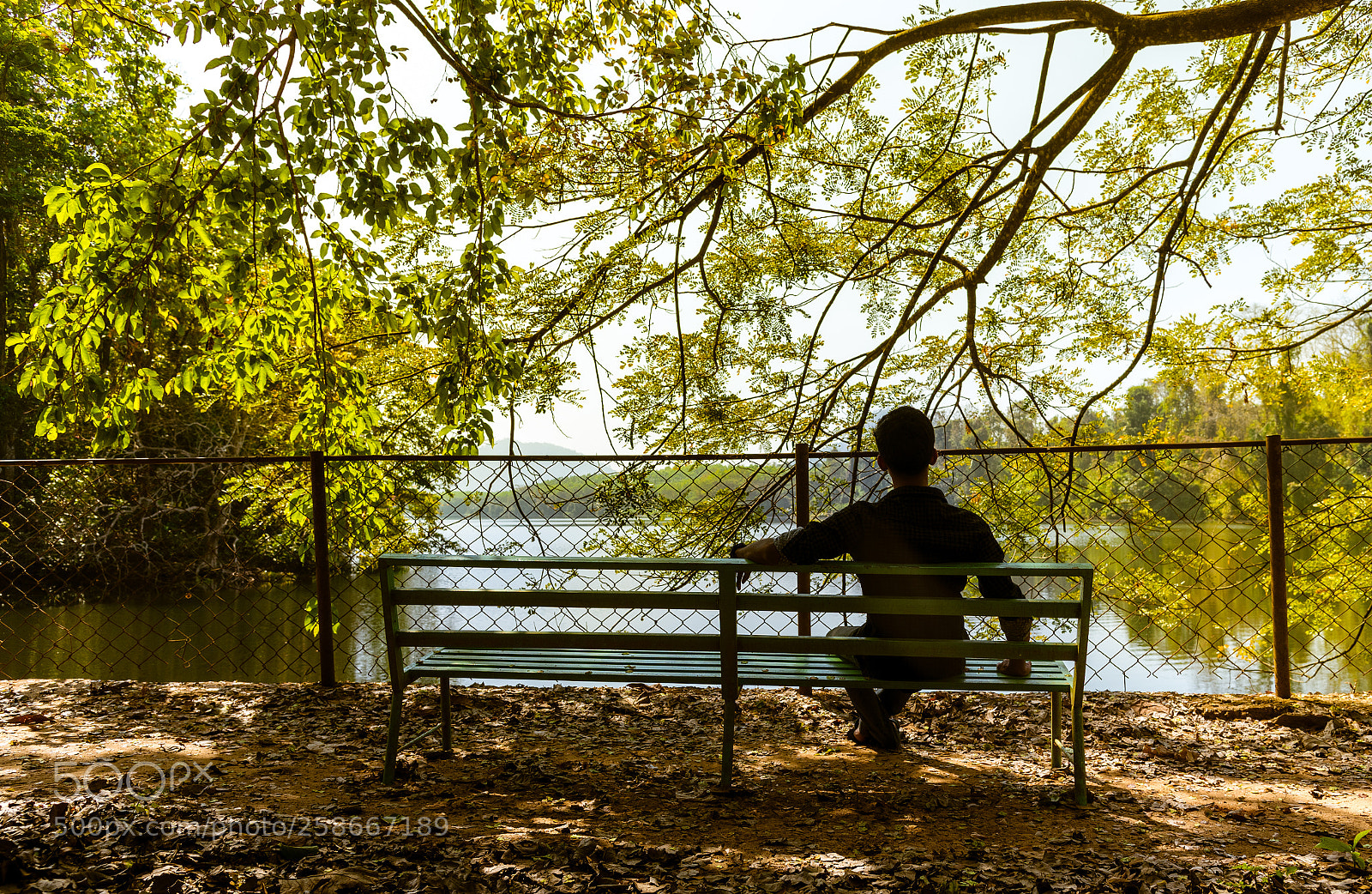 Nikon D750 sample photo. The serene view photography