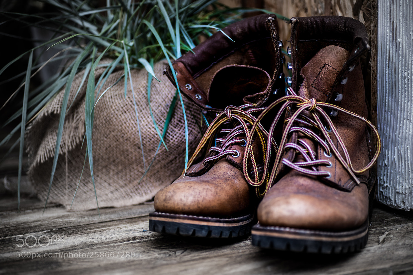 Sony a7R III sample photo. 17-48:leather photography