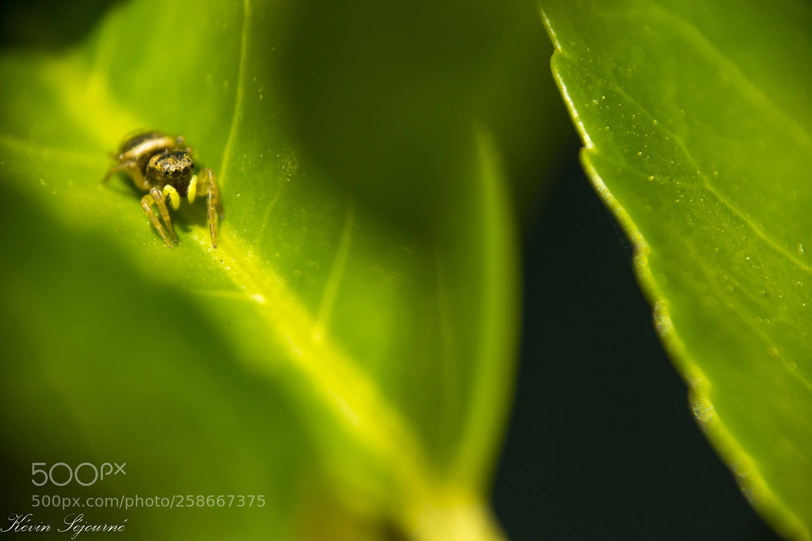 Nikon D5200 sample photo. 19052018-02717181.jpg photography