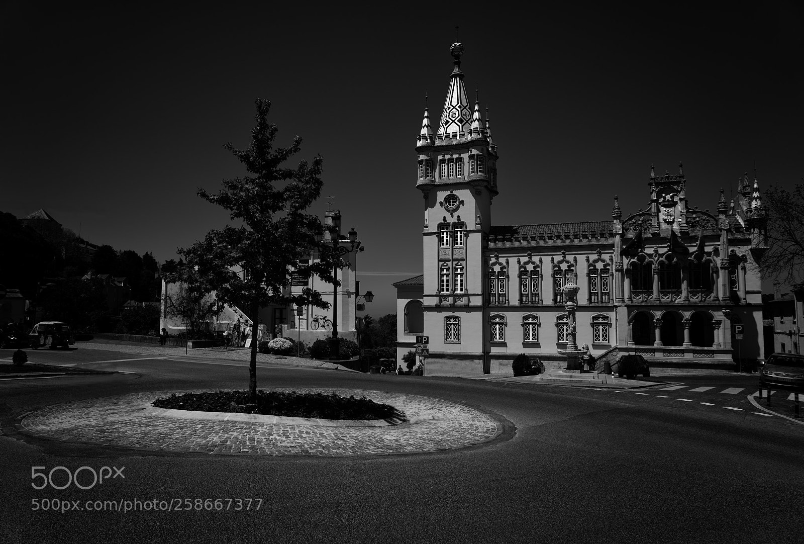 Sony a7 II sample photo. Sintra photography