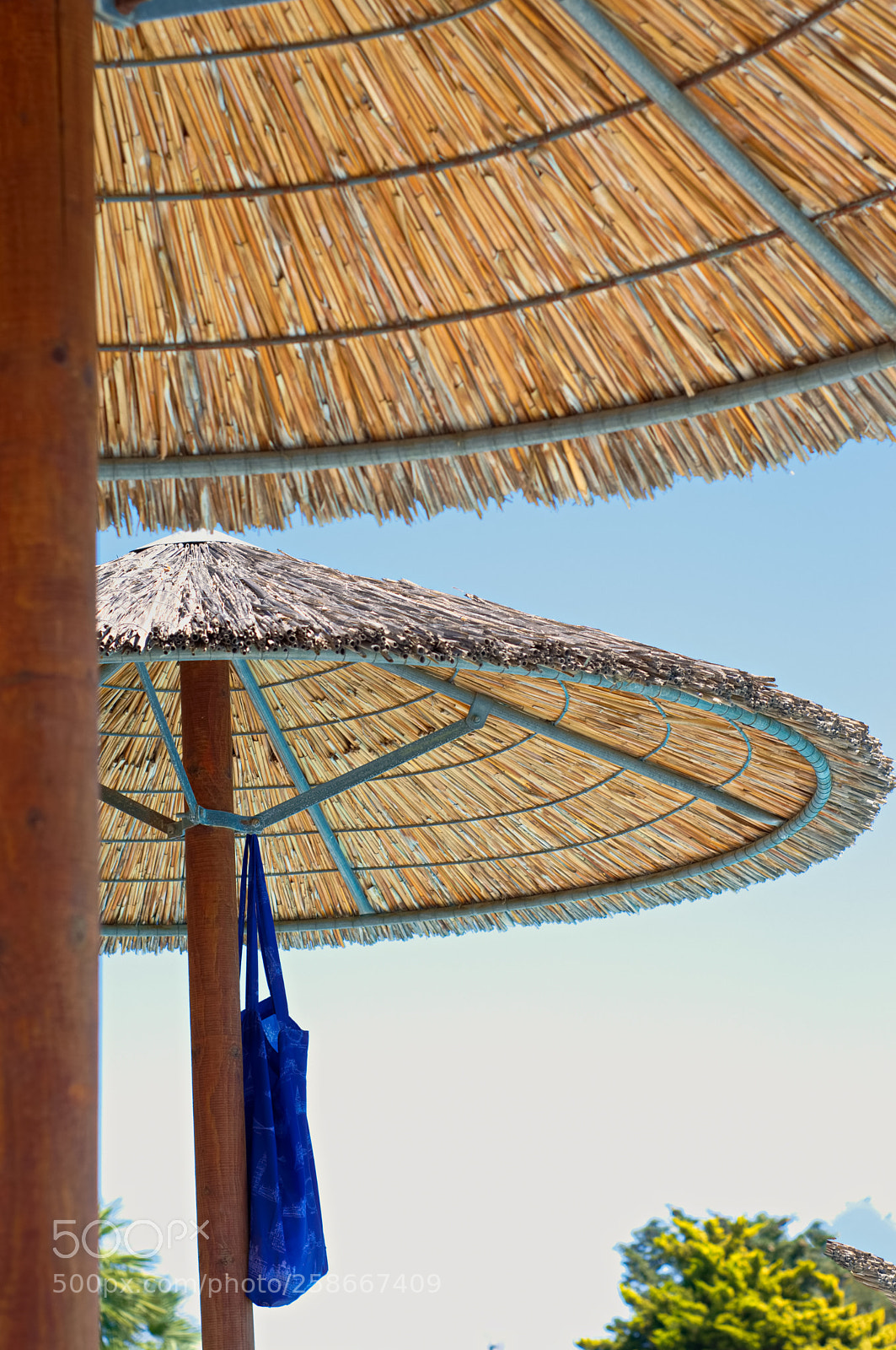 Nikon D3200 sample photo. Sun shade photography