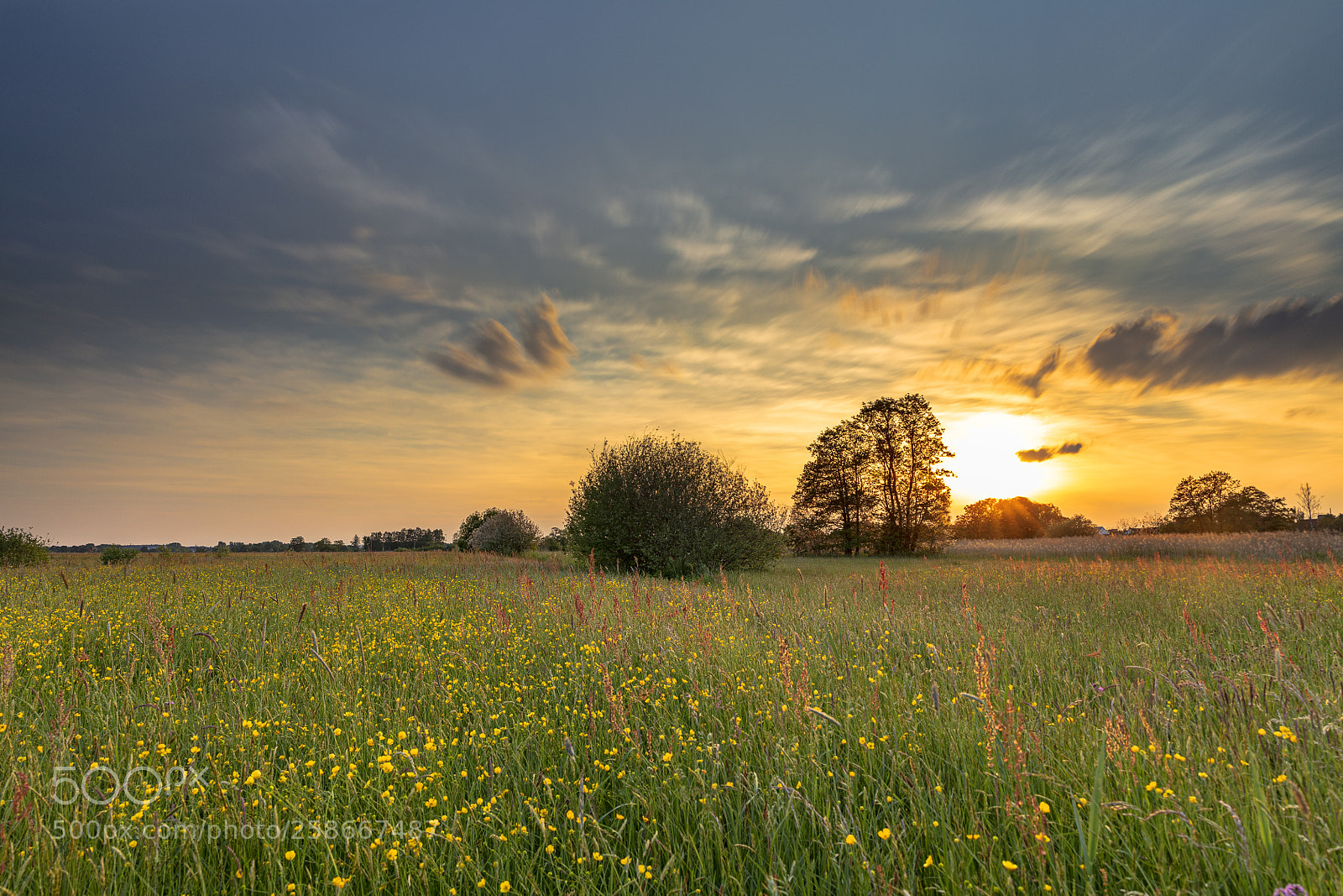 Canon EOS 5DS R sample photo. Abendstimmung im goachat photography