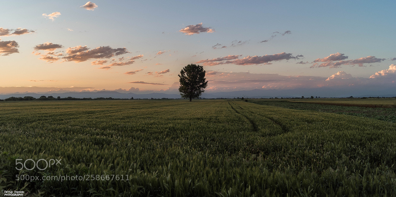 Sony SLT-A68 sample photo. Sunset photography