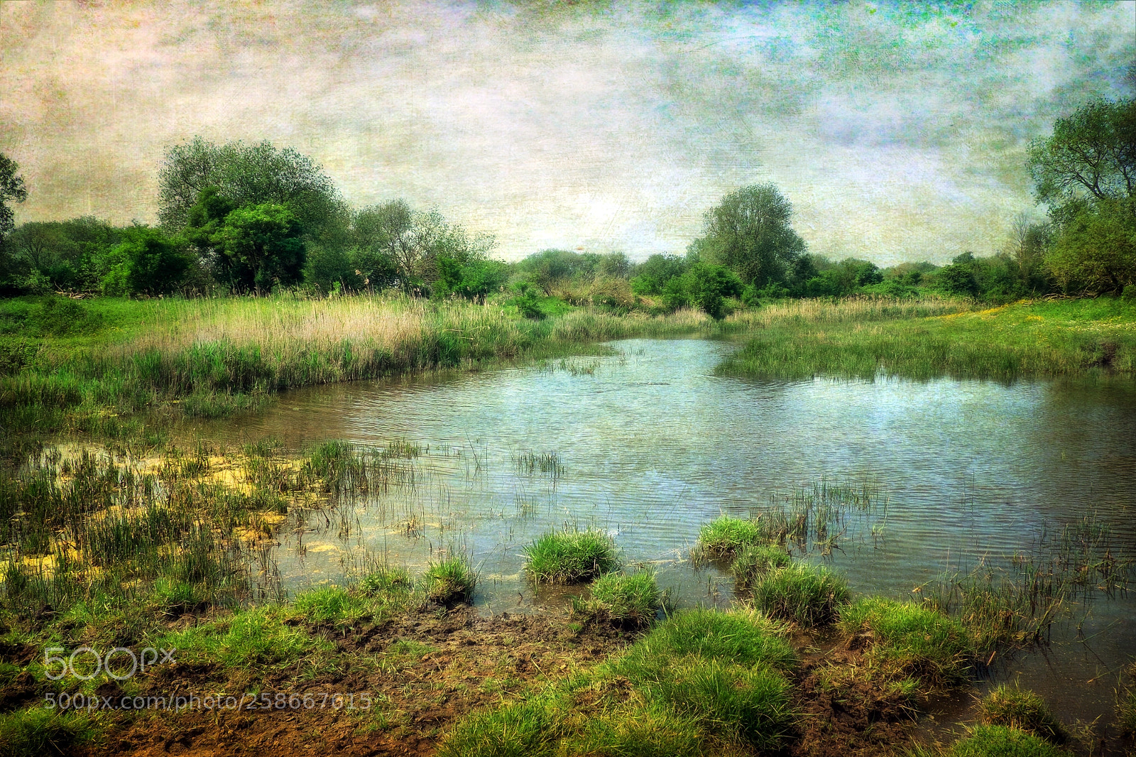 Fujifilm X-T1 sample photo. Landscape with a texture.... photography