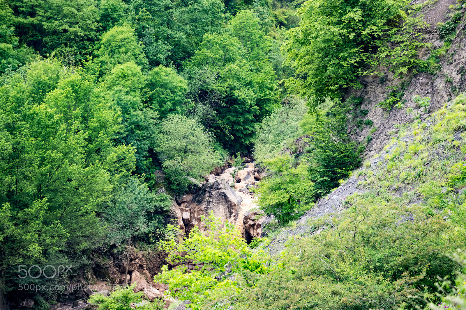 Canon EOS 80D sample photo. River in forest photography