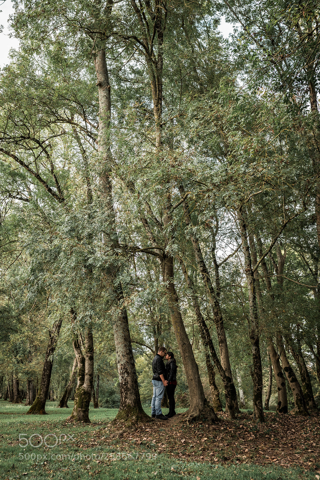 Nikon D750 sample photo. Adeline & maxime photography