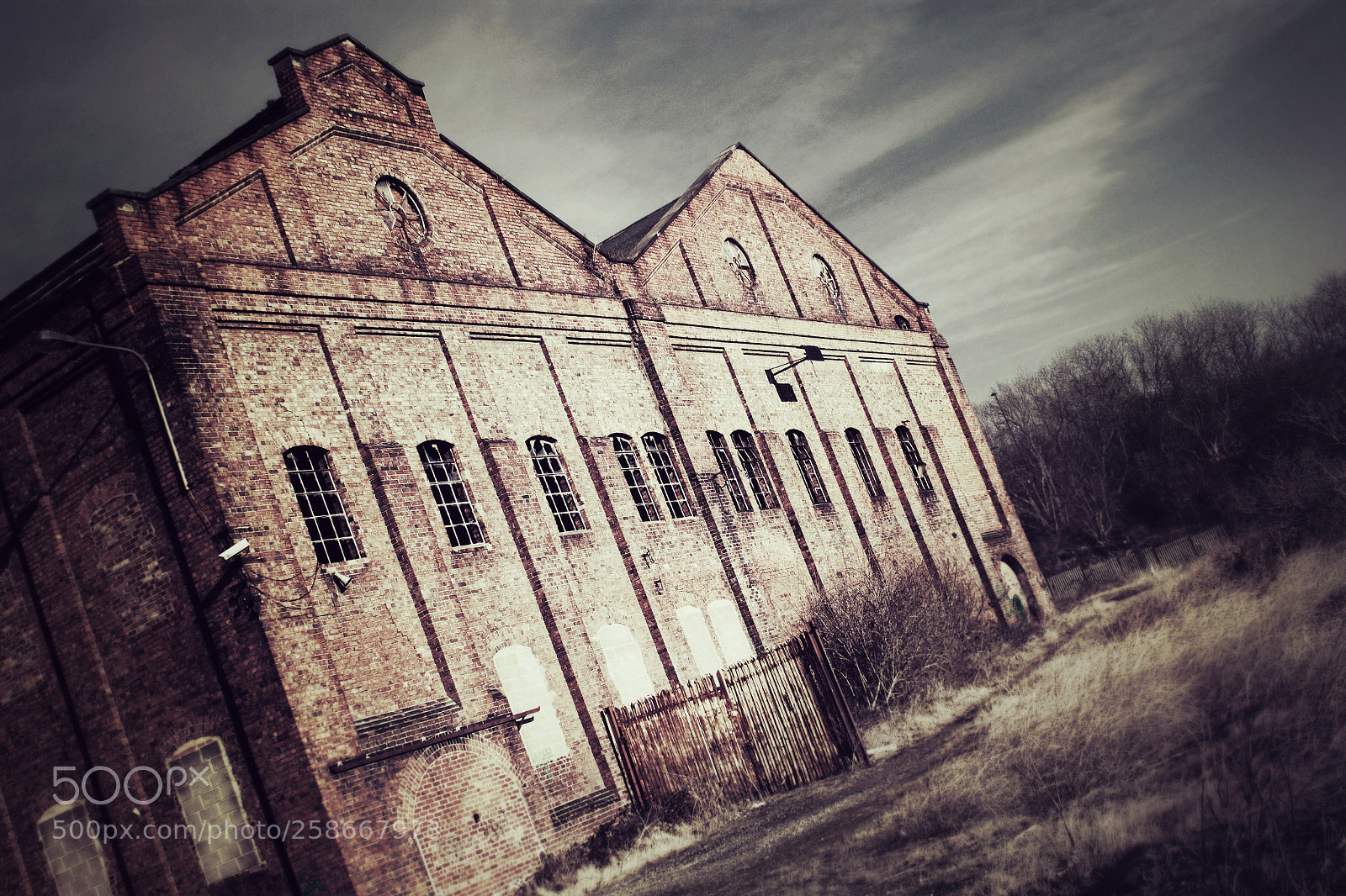 Canon EOS 550D (EOS Rebel T2i / EOS Kiss X4) sample photo. The old factory photography