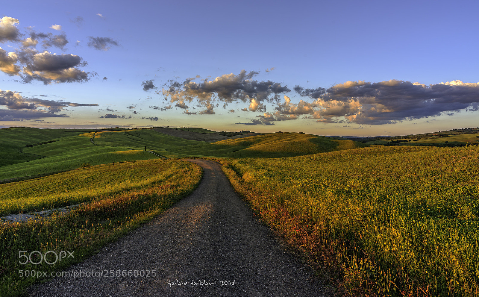Nikon D750 sample photo. Val d'orcia photography