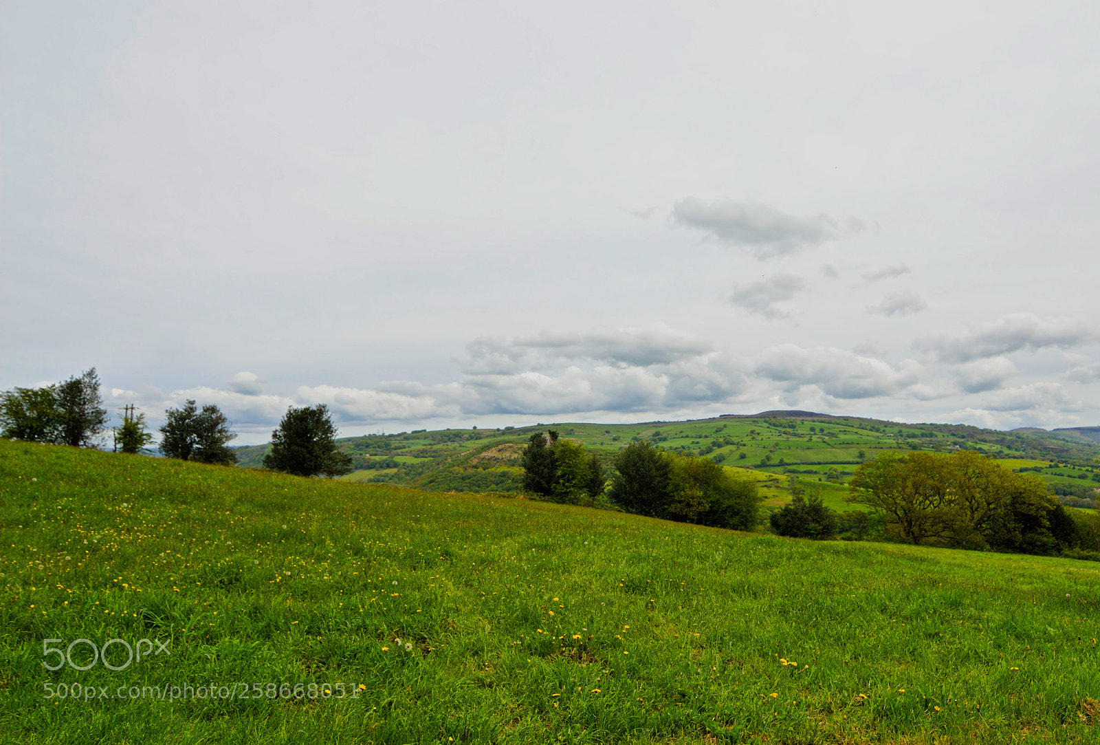 Nikon D3200 sample photo. Meadow view photography