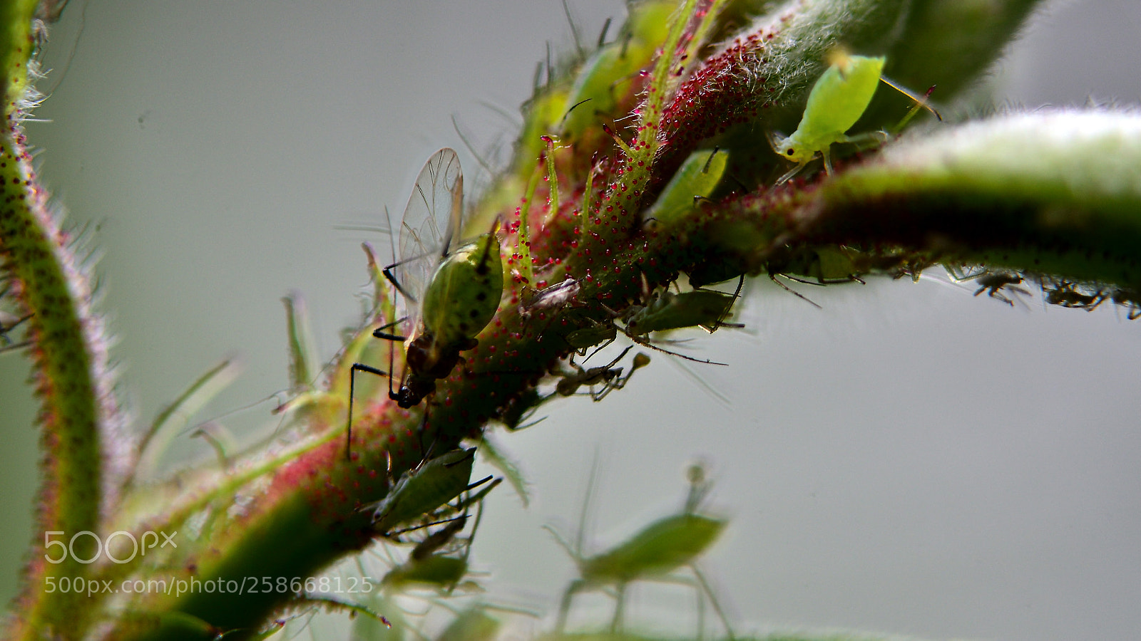 Nikon D7000 sample photo. Leben am rosenstock photography