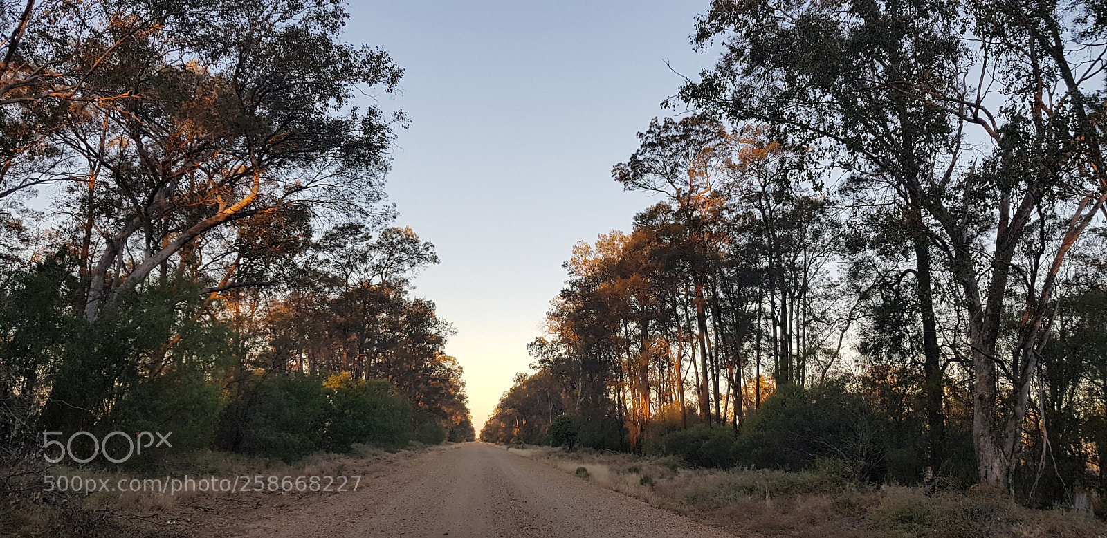 Samsung Galaxy S8 sample photo. Country lane photography