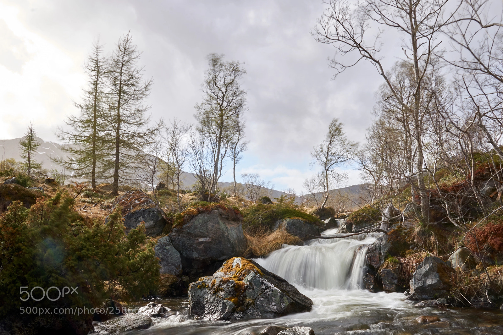 Sony a6000 sample photo. Spring in norway looks photography