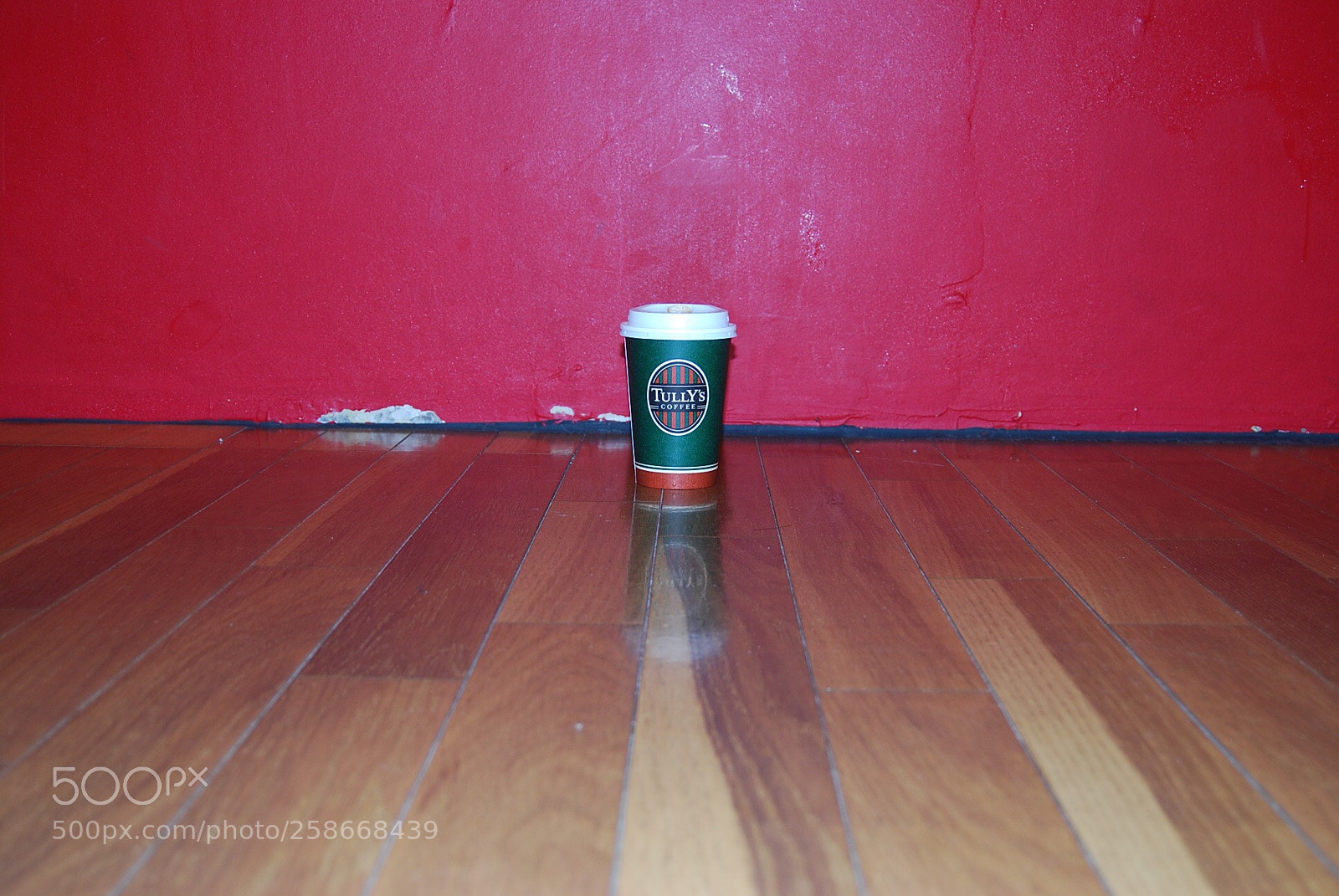 Nikon D40X sample photo. Untitled photography