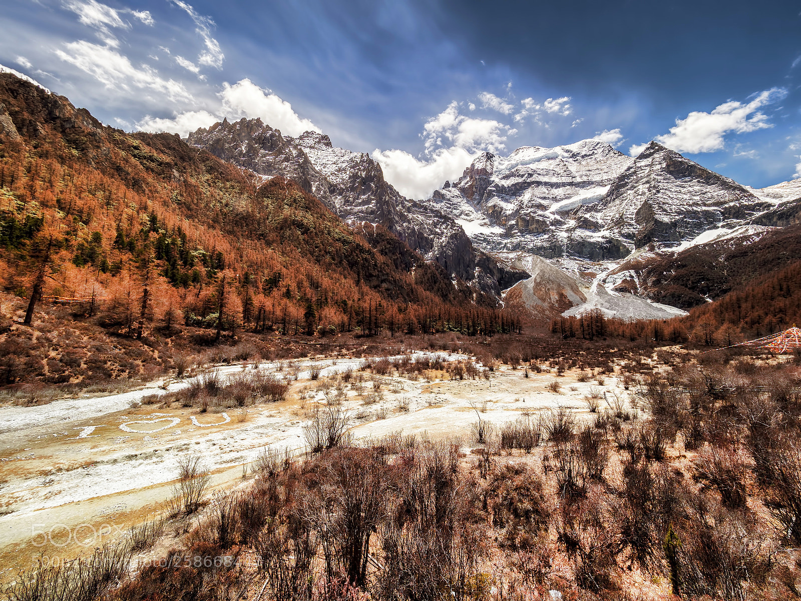 Olympus OM-D E-M1 Mark II sample photo. Yading nature reserve of photography