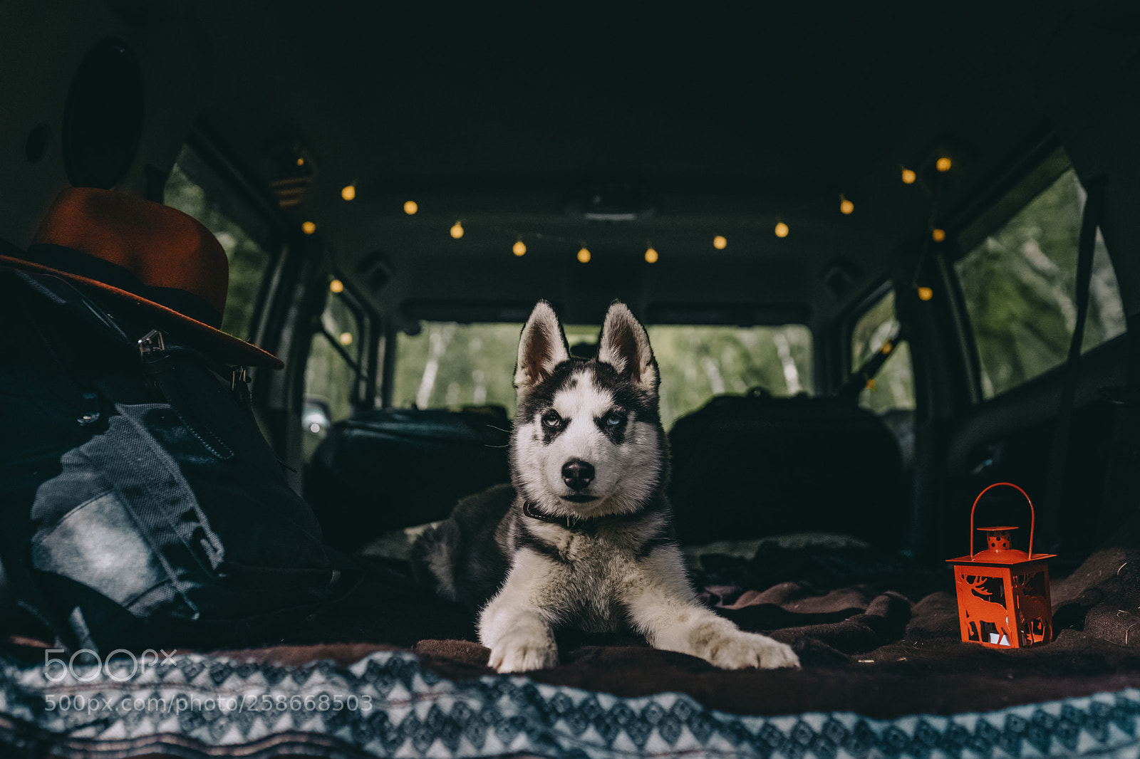 Sony a7 II sample photo. Zmax photography