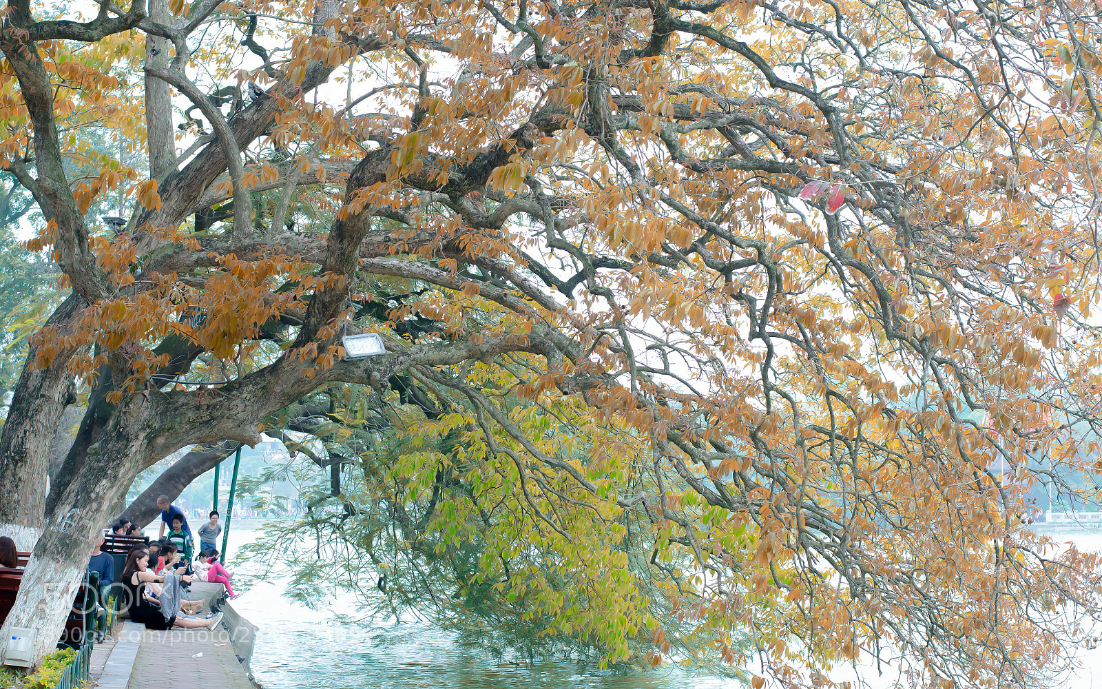 Nikon D7000 sample photo. Untitled photography