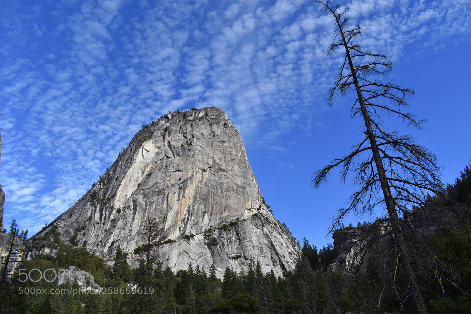 Nikon D3400 sample photo. Untitled photography