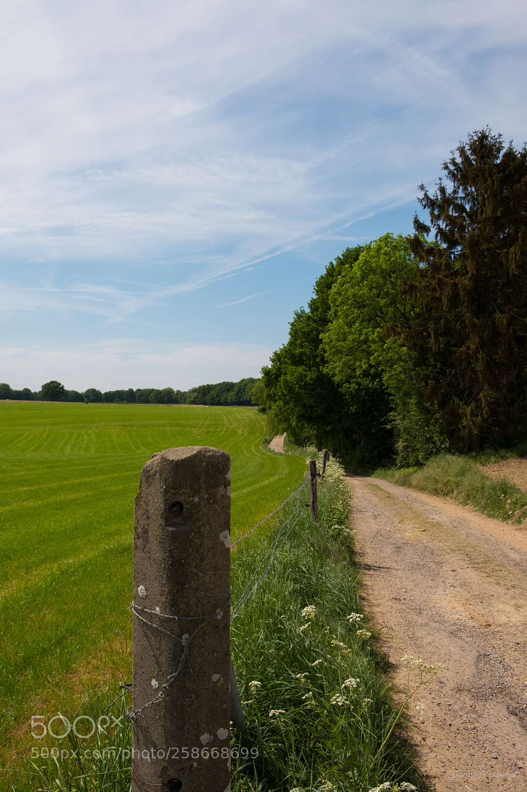 Fujifilm X-T20 sample photo. Dodemanweg, wijlre photography