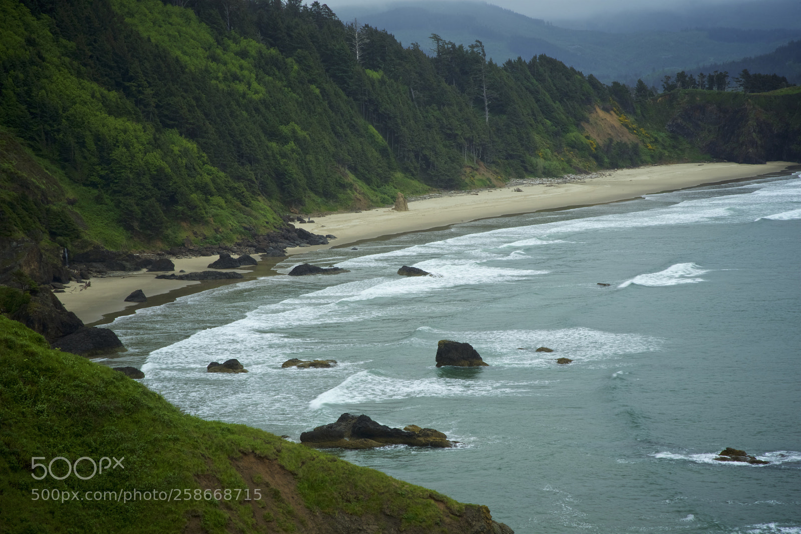Nikon D750 sample photo. Northern oregon coast photography