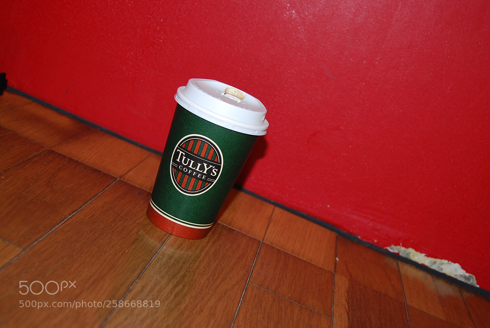 Nikon D40X sample photo. Untitled photography