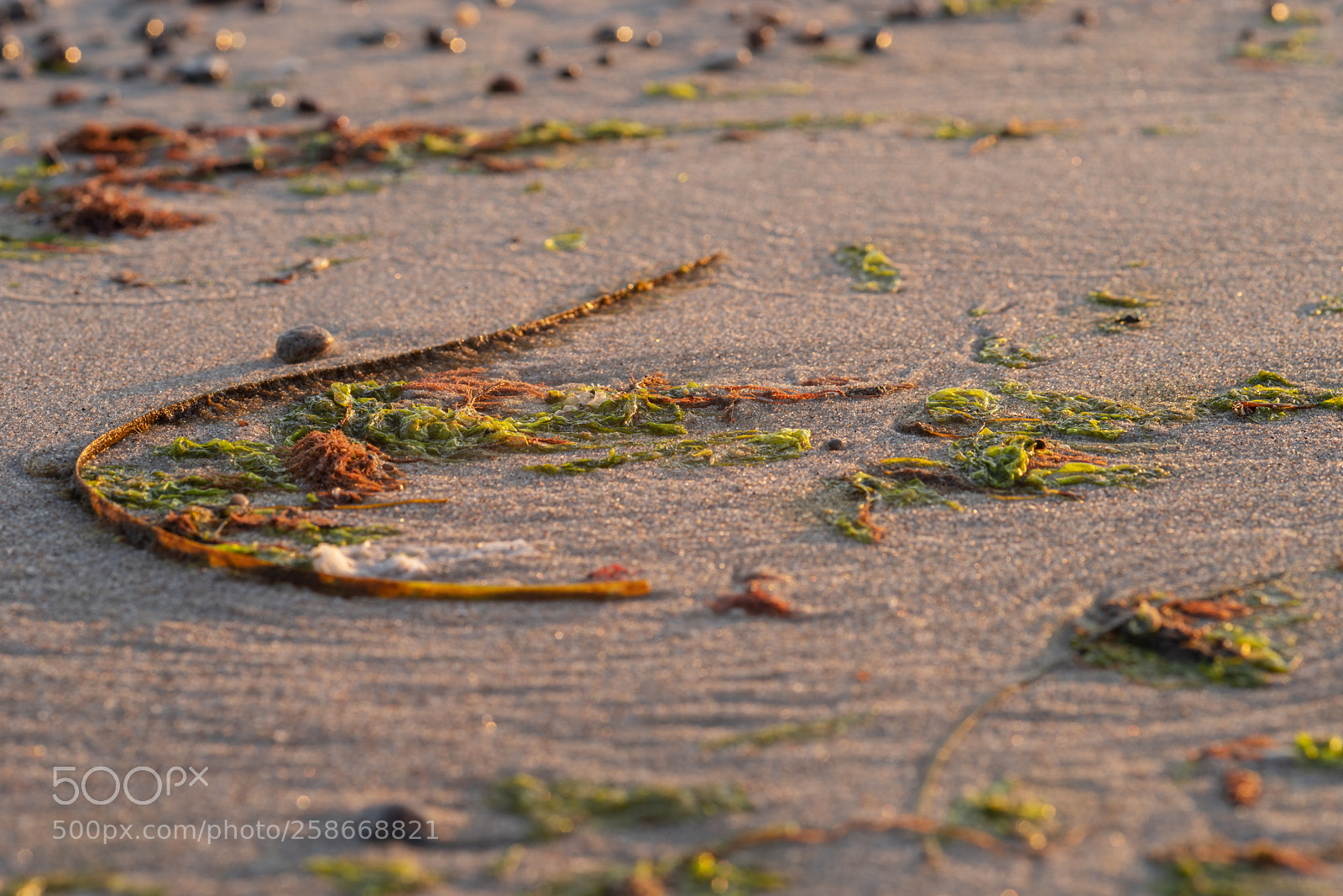 Pentax K-1 sample photo. Baltic morning beach photography