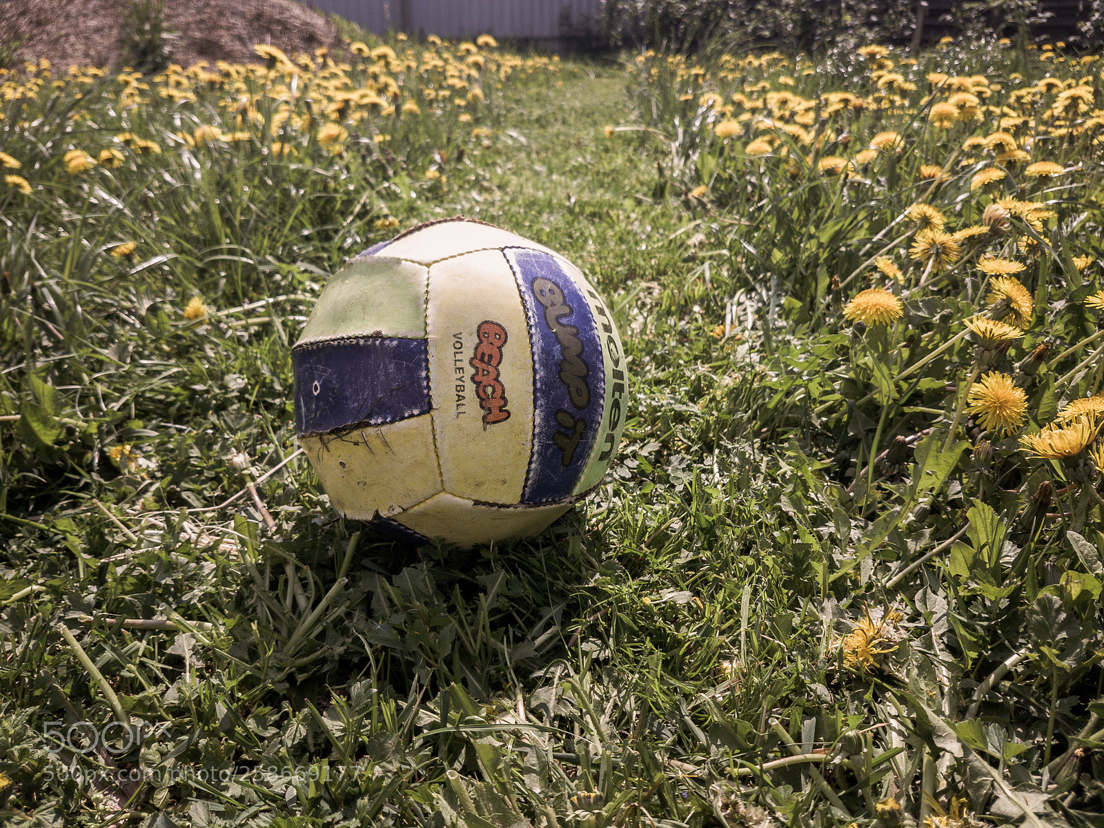 Samsung Galaxy S7 sample photo. *** photography