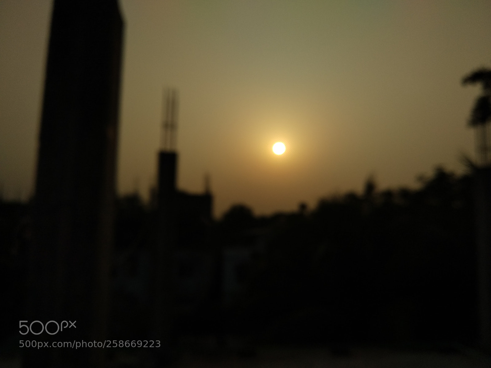 Xiaomi Mi A1 sample photo. Untitled photography