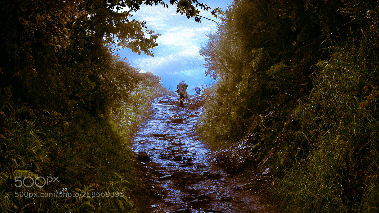 Nikon D70s sample photo. Camino de santiago - 8/25 photography