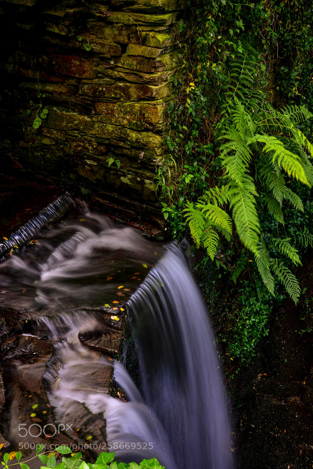 Nikon D600 sample photo. Queda de agua photography