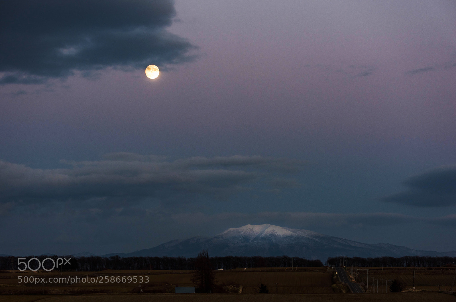 Nikon D810 sample photo. Untitled photography