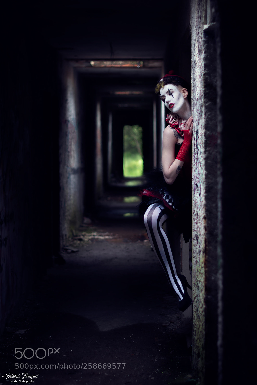 Nikon D750 sample photo. Clown photography