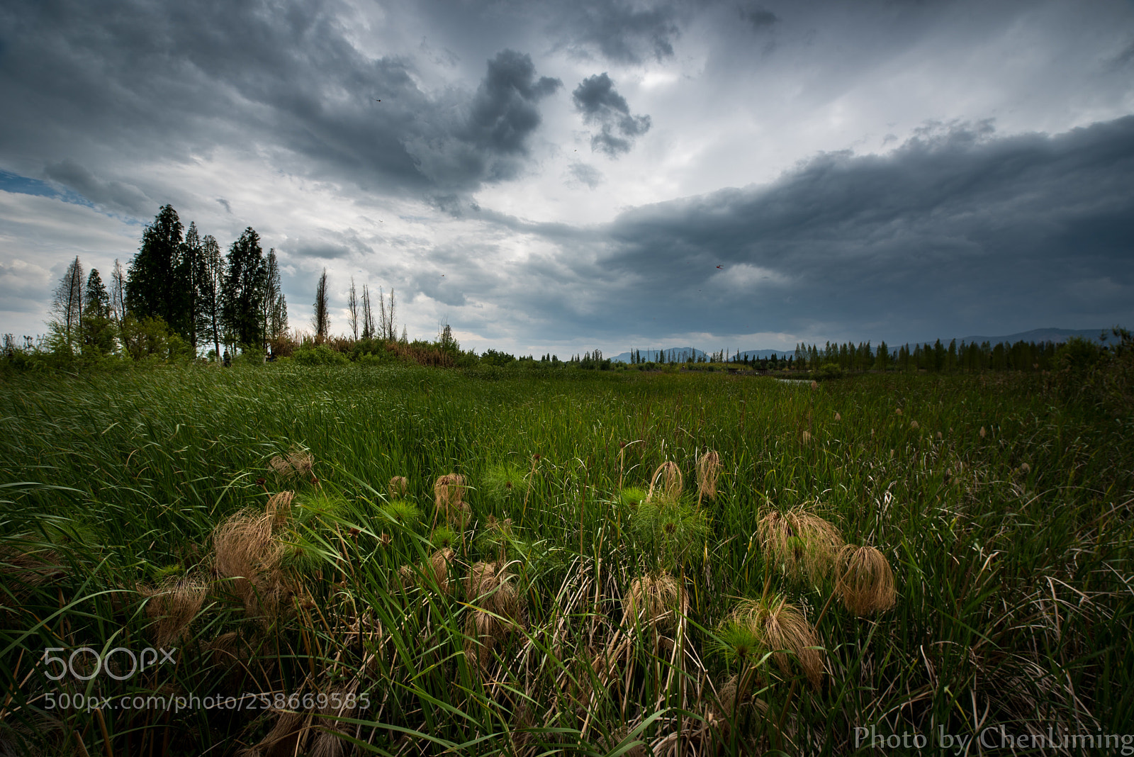 Nikon D750 sample photo. Cloudy photography
