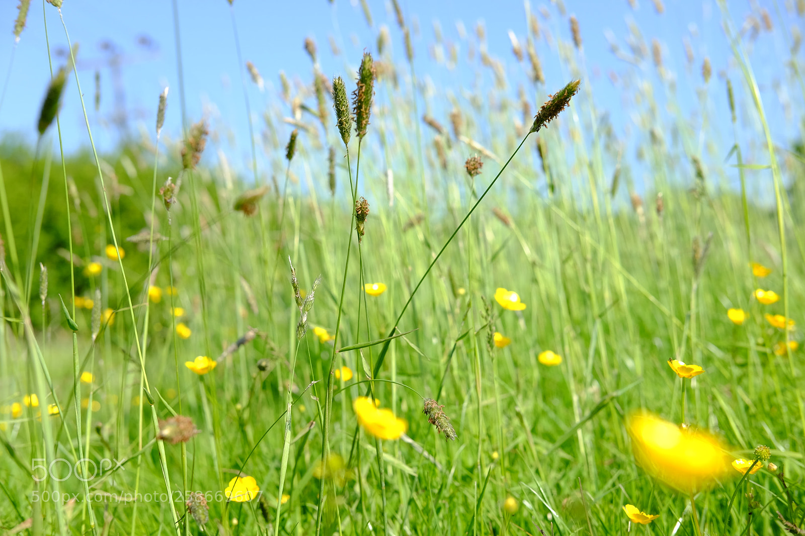 Fujifilm X-T10 sample photo. Bedelands 1.3 photography