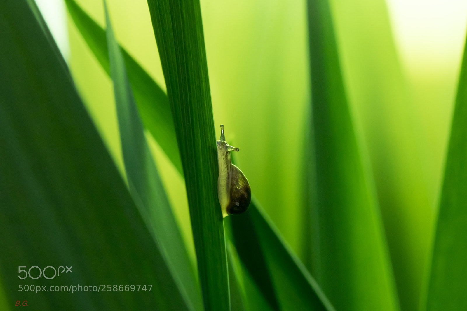 Canon EOS 80D sample photo. Up photography