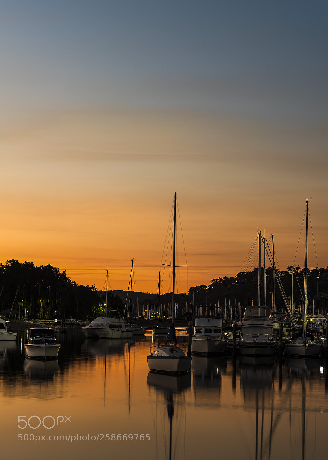Nikon D850 sample photo. Cool autumn evening on photography