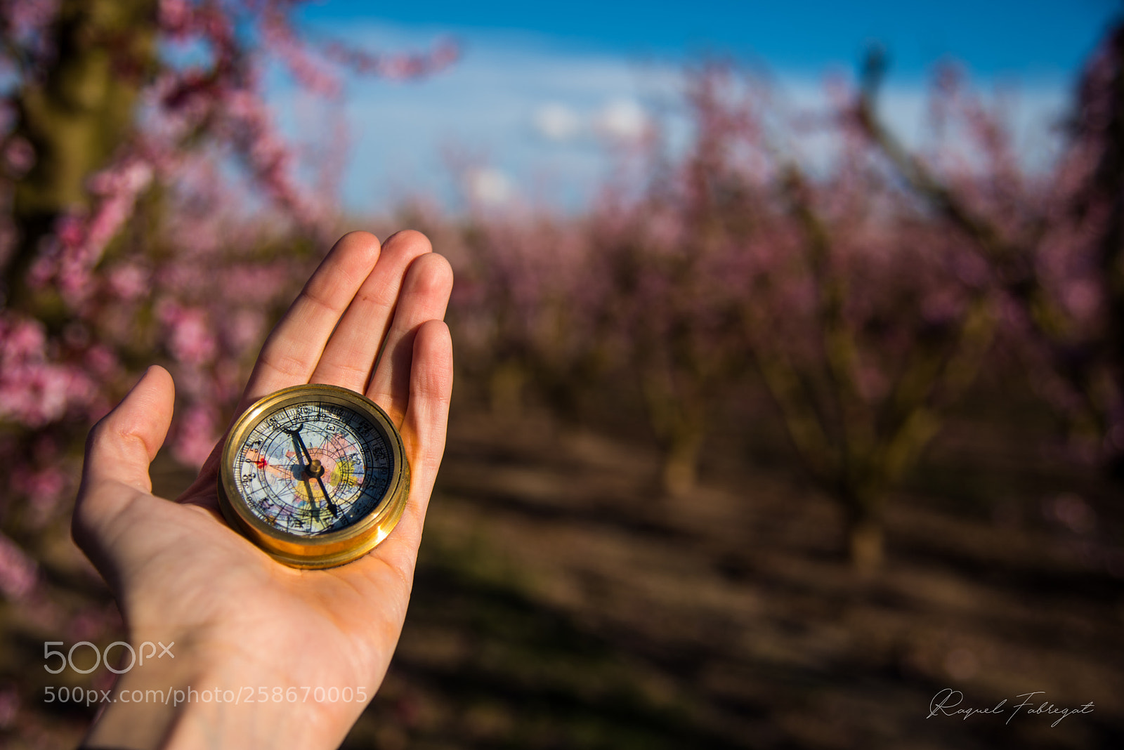 Nikon D750 sample photo. Follow the compass photography
