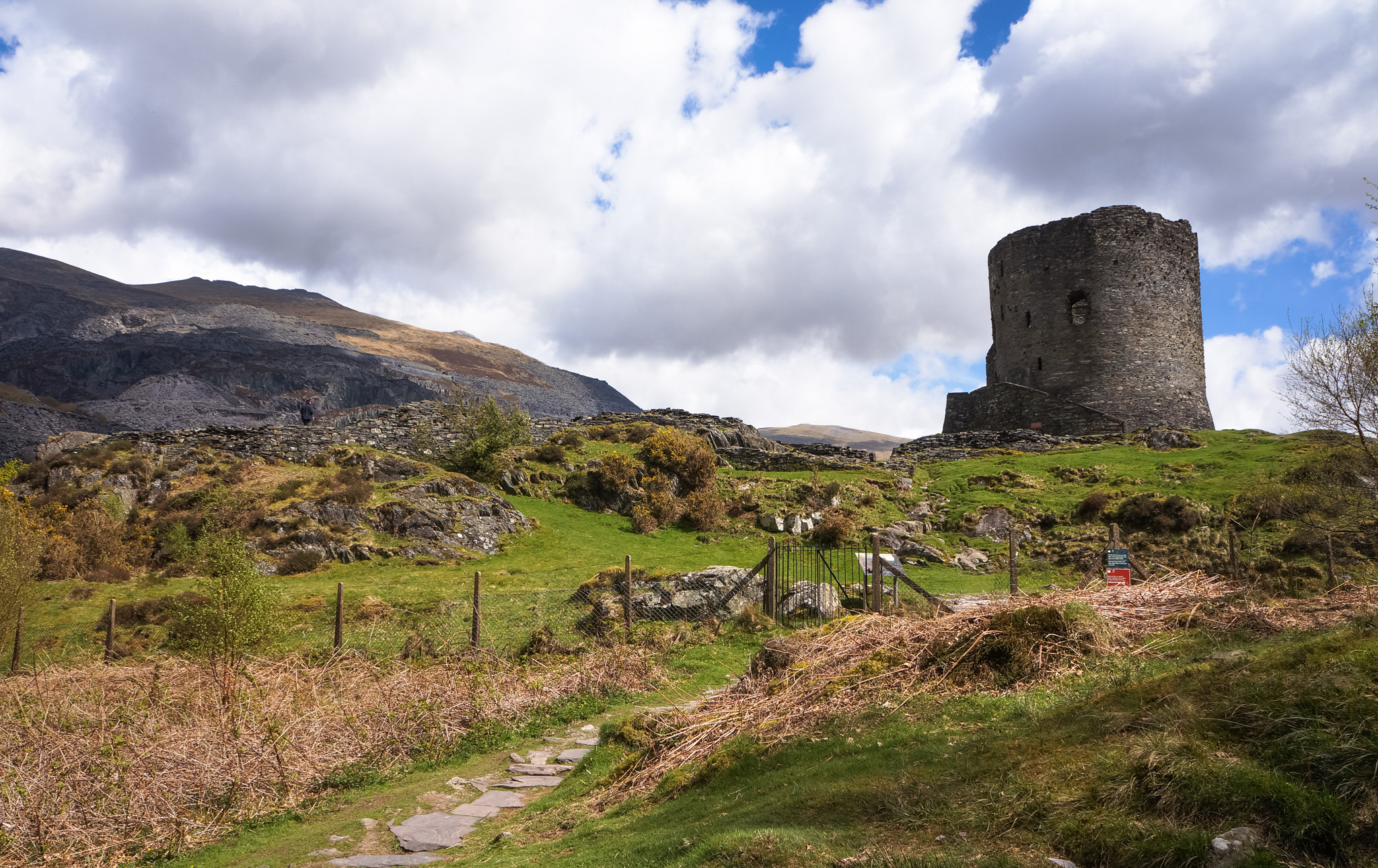 Sony Alpha NEX-5N sample photo. Dolbadarn castle photography
