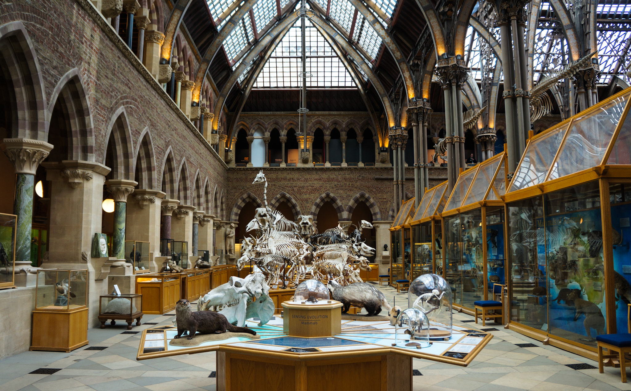 Sony Alpha NEX-5N sample photo. Museum of natural history photography