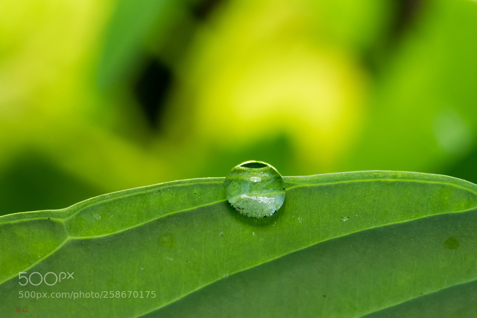Canon EOS 80D sample photo. Dropscape photography