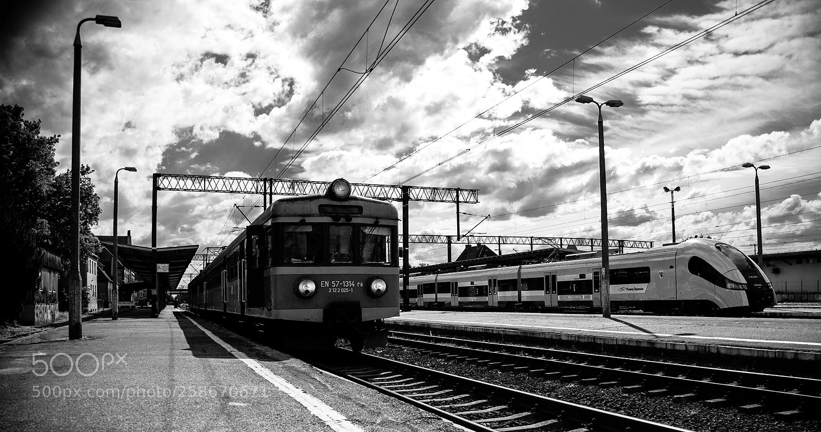Nikon D90 sample photo. #1086 photography