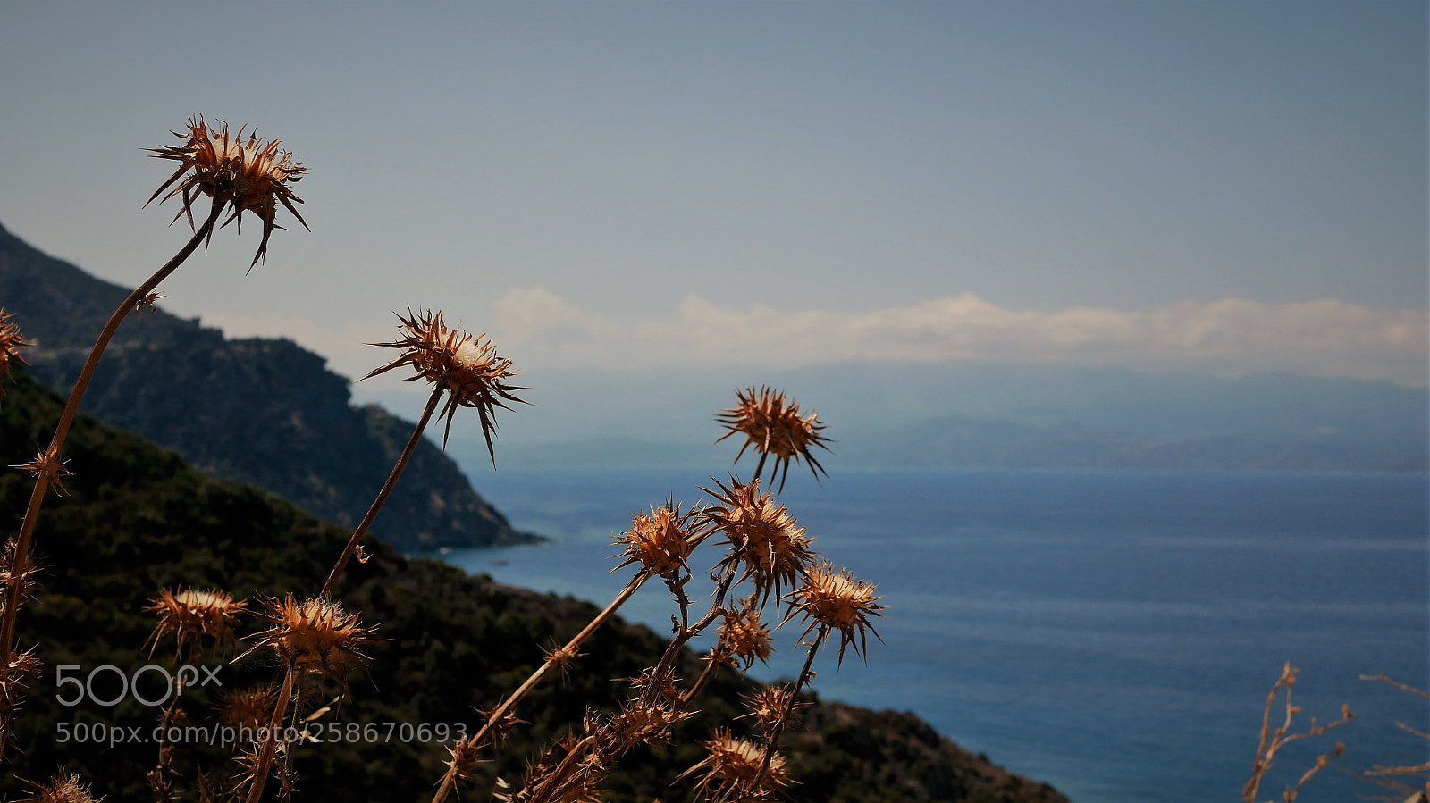 Panasonic Lumix DMC-GX85 (Lumix DMC-GX80 / Lumix DMC-GX7 Mark II) sample photo. Photo photography